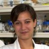 lab-method-11-wang lab-method-11-wang